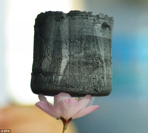由浙江大學教授開發的石墨稀氣凝膠體，可可穩穩地立于一朵花的花瓣上。