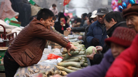 Green Radish Green Radish