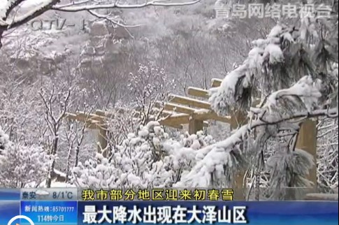 青島部分地區遇初春雪