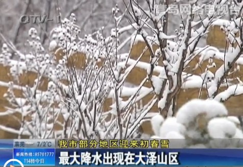 青島部分地區遇初春雪