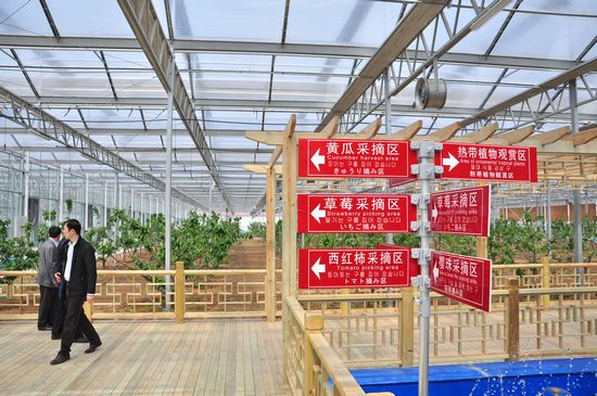 城陽打造首家熱帶觀賞園 南國植物現青島 城陽打造首家熱帶觀賞園 南國植物現青島