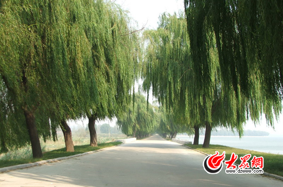 峽山湖國家濕地公園的環湖公路。