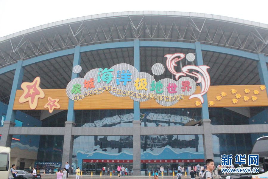 神秘的泉城海洋極地世界 神秘的泉城海洋極地世界