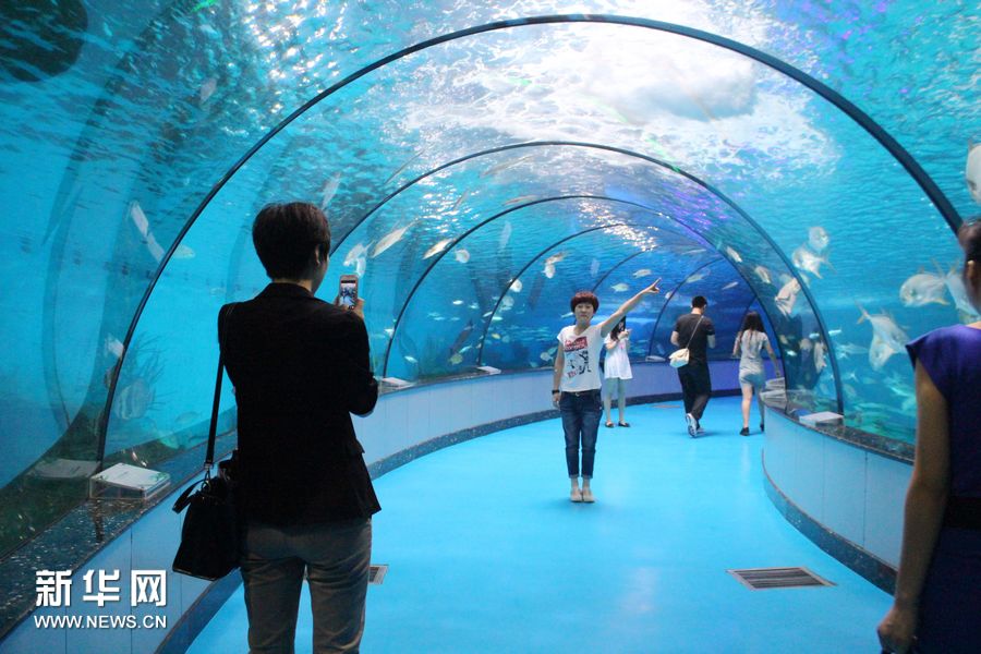 泉城海洋極地世界：如夢似幻的海底隧道