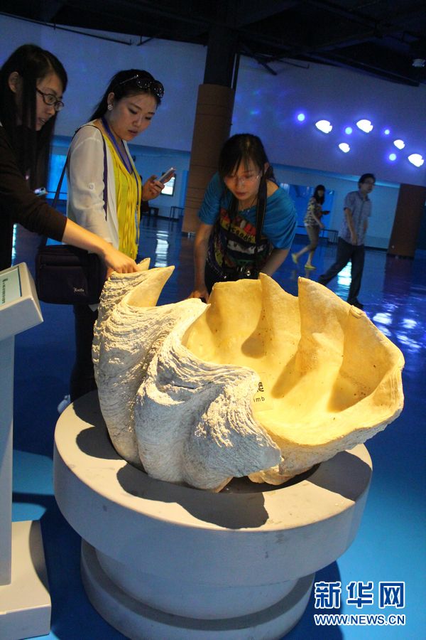 泉城海洋極地世界：采訪團記者們參觀硨磲