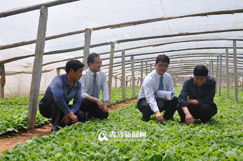 省農村信用聯社：服務三農 打造普惠金融(圖)