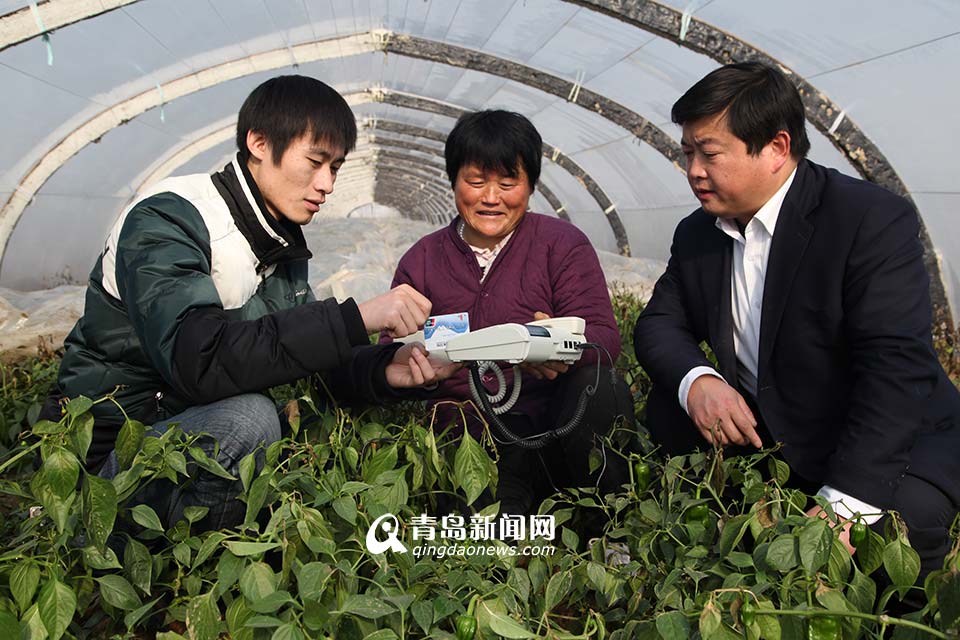 省農村信用聯社：服務三農 打造普惠金融(圖)