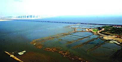 青島4座跨海大橋盤點(diǎn) 膠州灣大橋世界最長