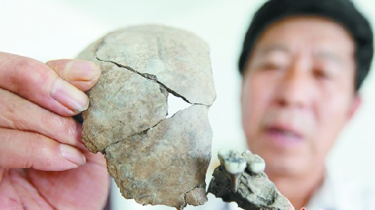大雨沖出骨化石 青島萬(wàn)年前有人類(lèi)居住或再添力證