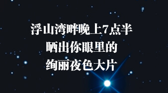 上合組織青島峰會